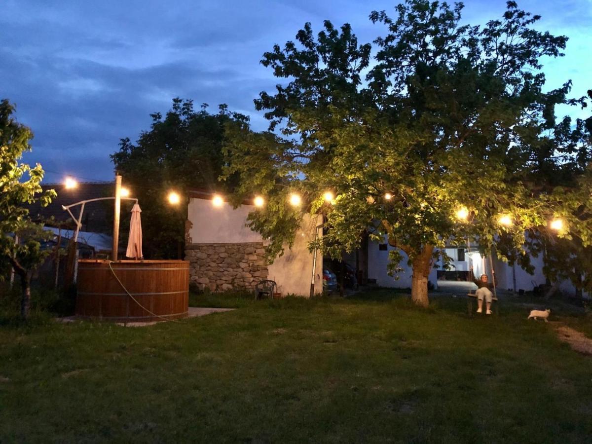 Отель Casa Badea Riu Alb Экстерьер фото
