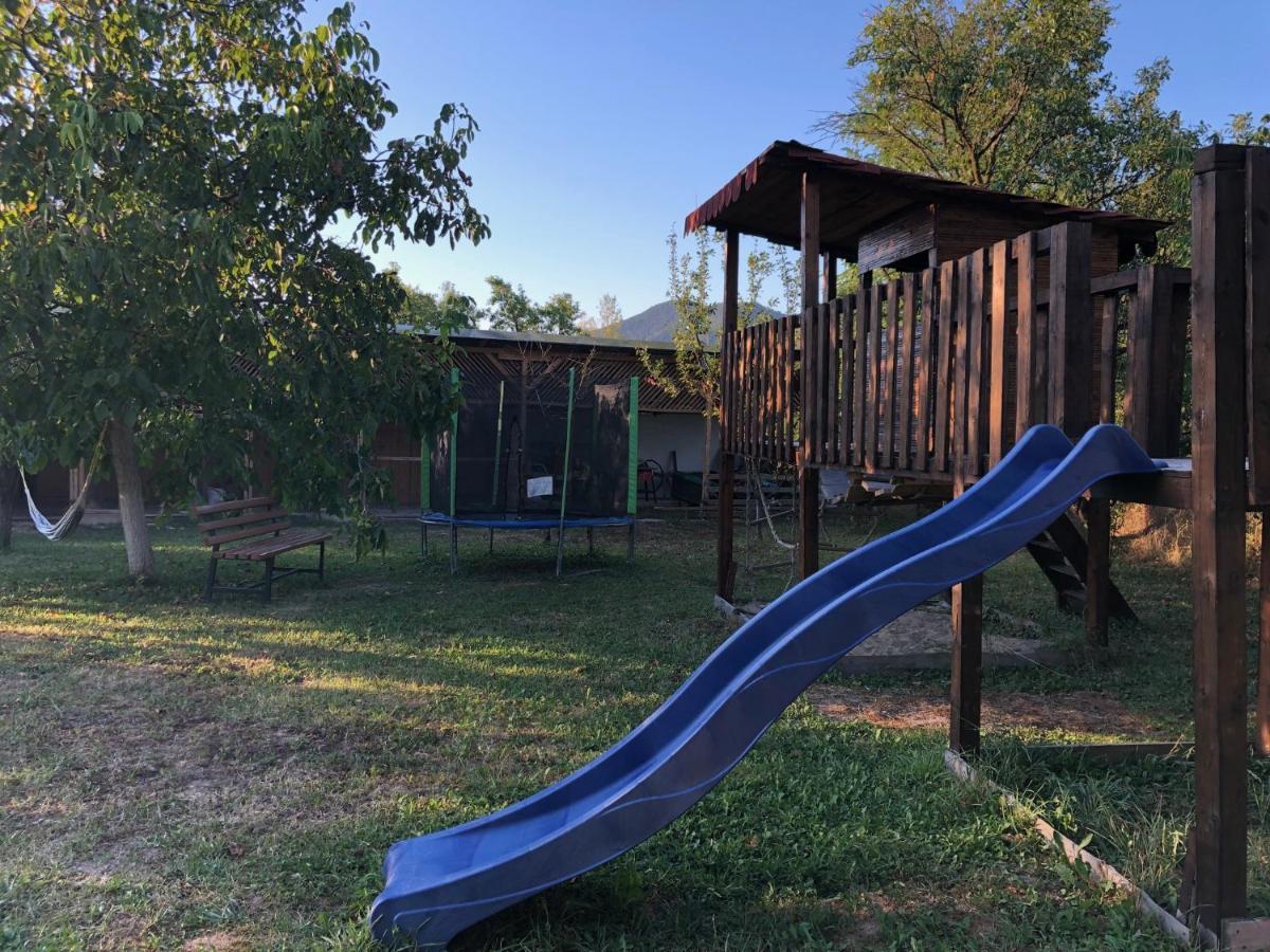 Отель Casa Badea Riu Alb Экстерьер фото