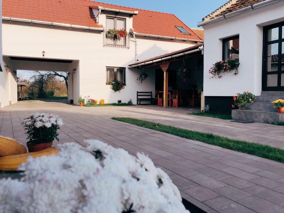 Отель Casa Badea Riu Alb Экстерьер фото