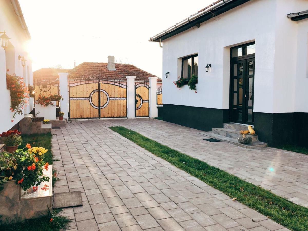 Отель Casa Badea Riu Alb Экстерьер фото